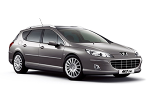 Запчасти для Peugeot 407 407