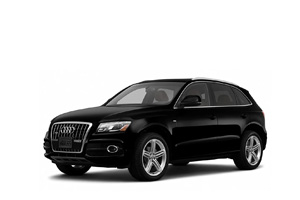 Запчасти для Audi Q5 I (8R)