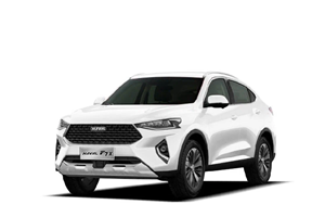 Запчасти для Haval F7x I поколение 2019-2024
