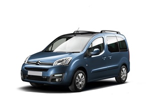 Запчасти для Citroen Berlingo