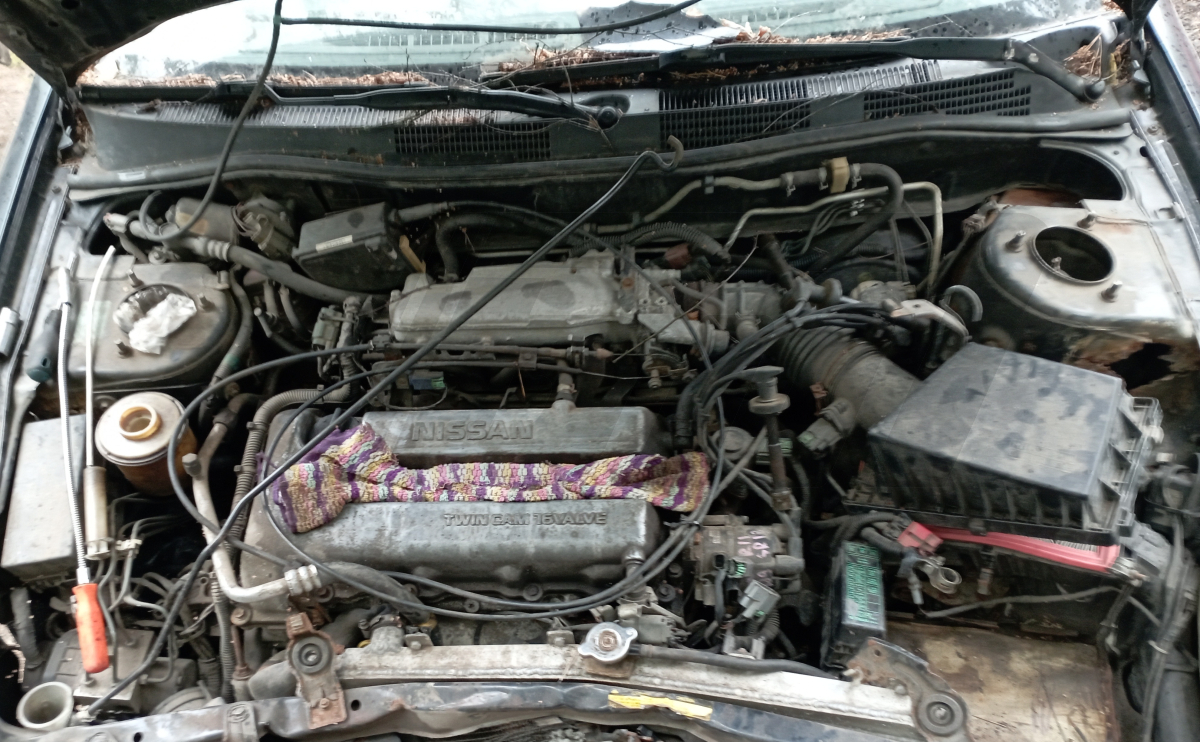 Разборка Nissan Primera 2000 г.в. с пробегом 300 000 км