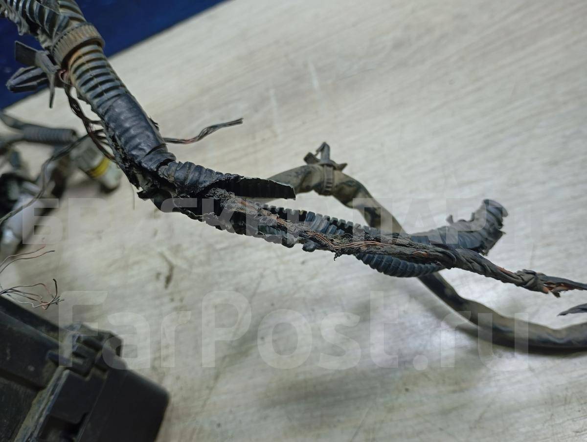 Проводка (коса) моторного отсека на Ниссан Максима 5 поколение A33