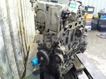 Двигатель 2TRA703 на Рено Колеос 1 поколение Y 10102JY00B