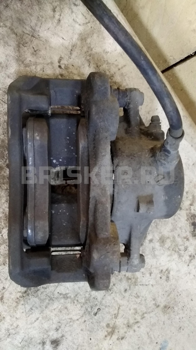 Плафон подсветки заднего номера (фонарь освещения номерного знака) для Ниссан Альмера 2 поколение (N16)