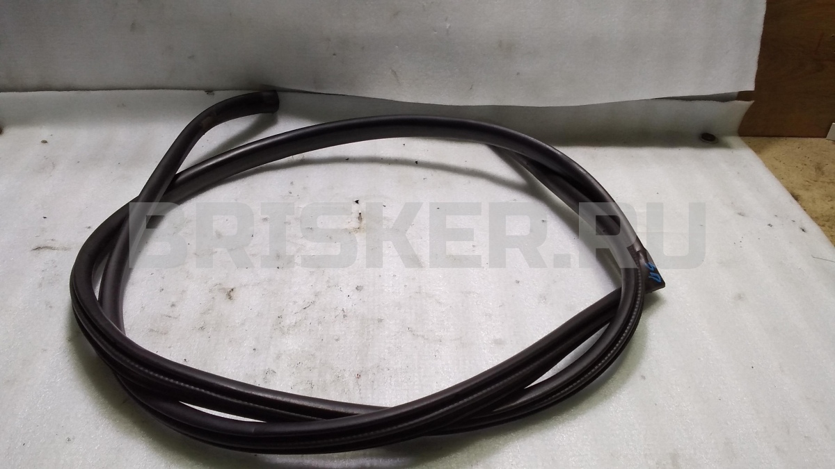 Уплотнитель дверного проёма задний правый для Киа Маджентис 1 поколение