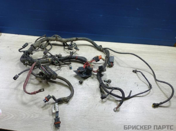 Проводка моторного отсека (жгут, коса подкапотная) для Рено Логан 1 поколение LS0G LS12 рестайлинг 240111285R